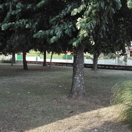 Il Nido Delle Rondini